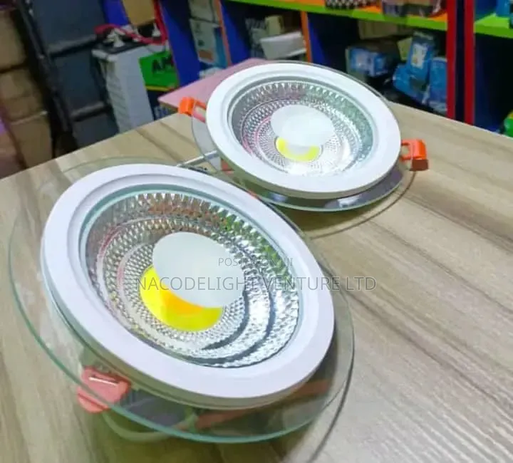 LED Modern Indoor Ceiling Pop Light Glass