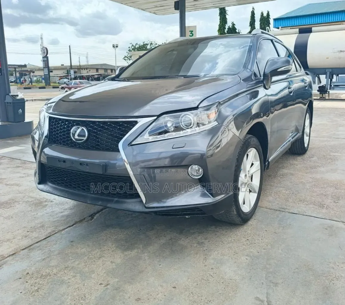 Lexus RX 2010 Gray
