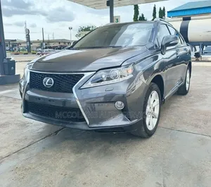Lexus RX 2010 Gray