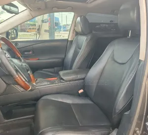Lexus RX 2010 Gray