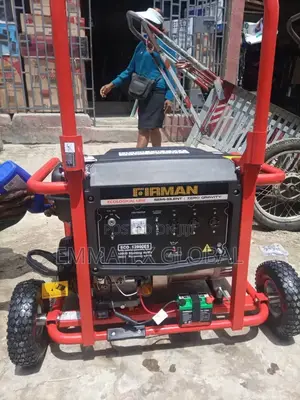 Petrol Eco 12990es Firman Generator Copper Coil