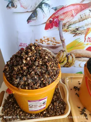 Dried Ngolo