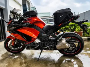 Kawasaki Ninja 1000 2017 Orange