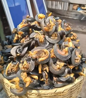 Dried Snail