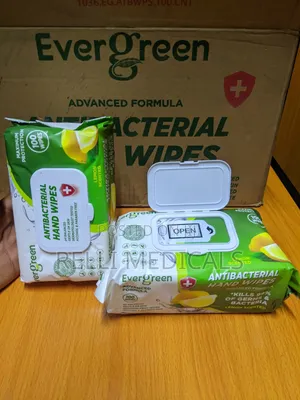 Evergreen Antibacterial Hand Wipes 