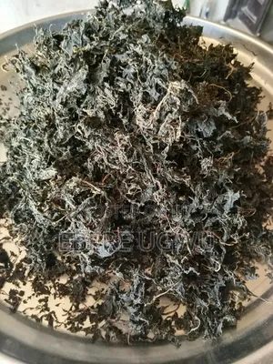 Wash Dry Bitter Leaf
