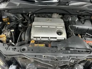 Lexus RX 330 2005 Gray