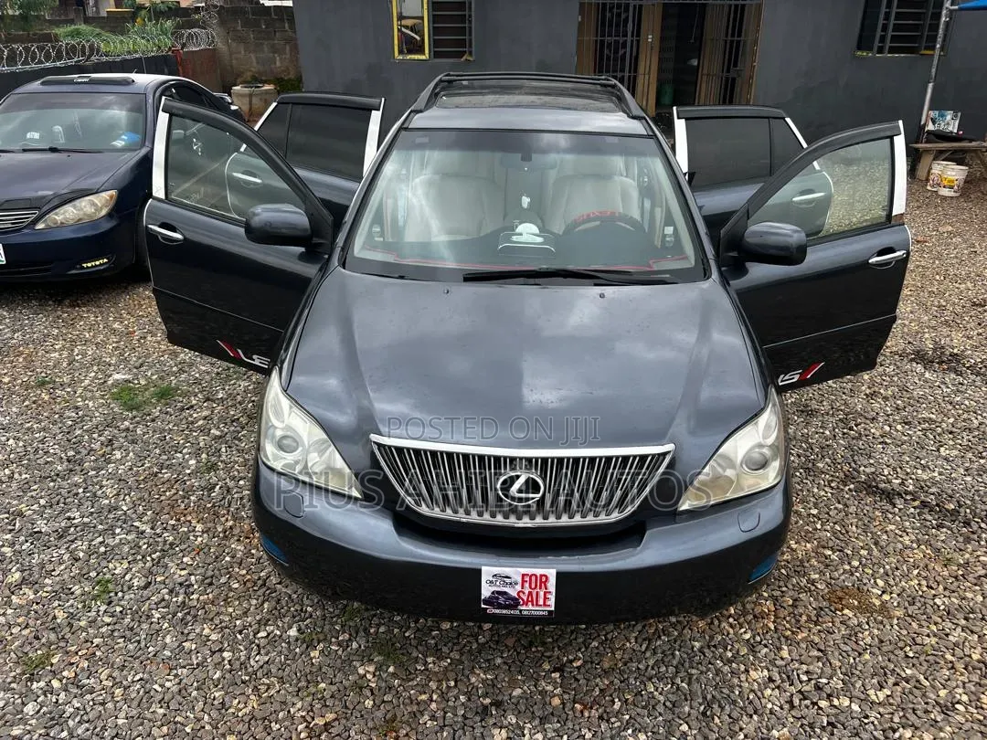 Lexus RX 330 2005 Gray