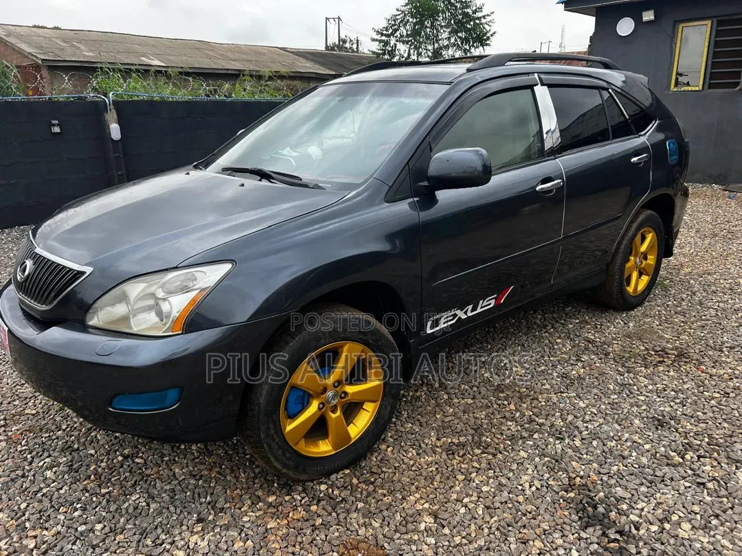 Lexus RX 330 2005 Gray