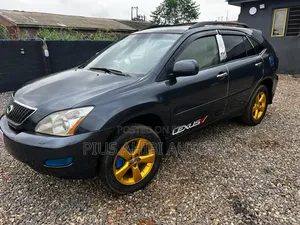 Lexus RX 330 2005 Gray