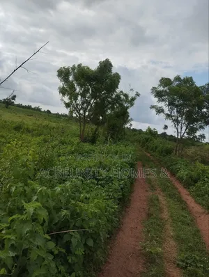 300 Acres of Farmland for Sale at Aba Ibadan Village, Iseyin Oyo State