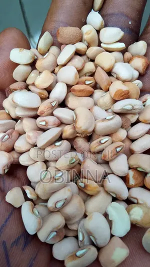 Obinna Food's
