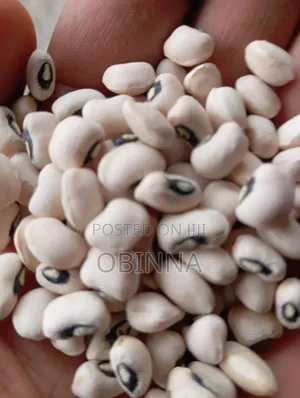 Obinna Food's