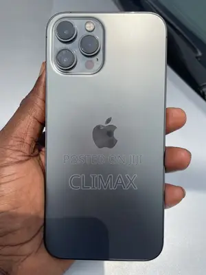 Apple iPhone 12 Pro Max 128 GB Gray