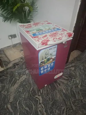 Barely Used 95-Liters Nexus Freezer