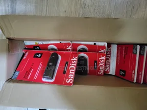SanDisk Flash Drive 2gb