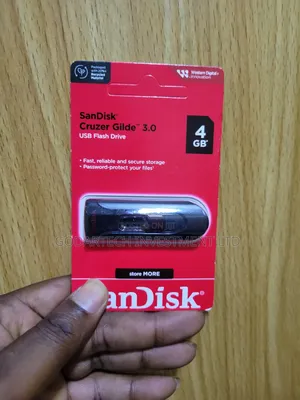 SanDisk Flash Drive 4gb