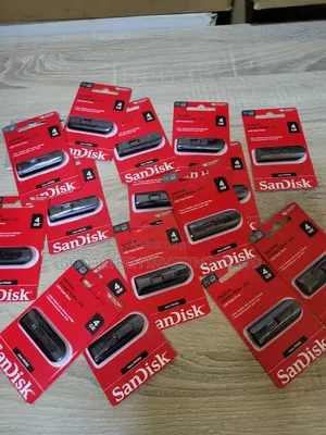 SanDisk Flash Drive 4gb