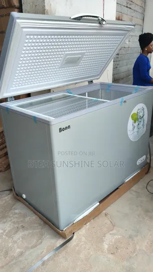 318liters Bona Freezer Dc / AC Available