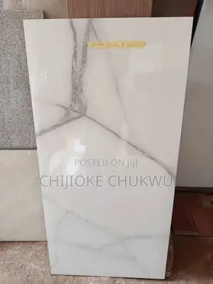 60/120 Mirror Magnet
