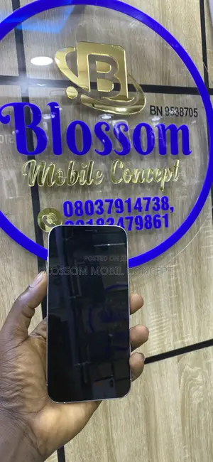 Apple iPhone 12 Pro Max 128 GB Silver