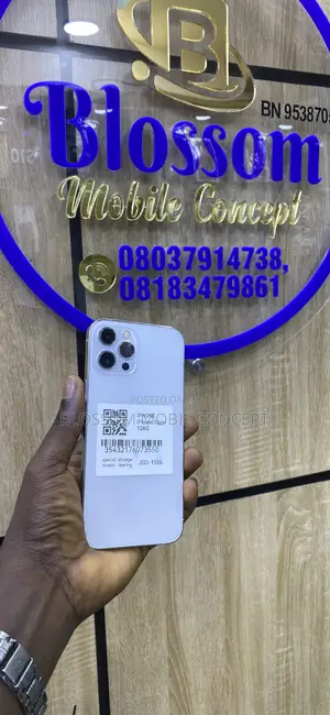 Apple iPhone 12 Pro Max 128 GB Silver