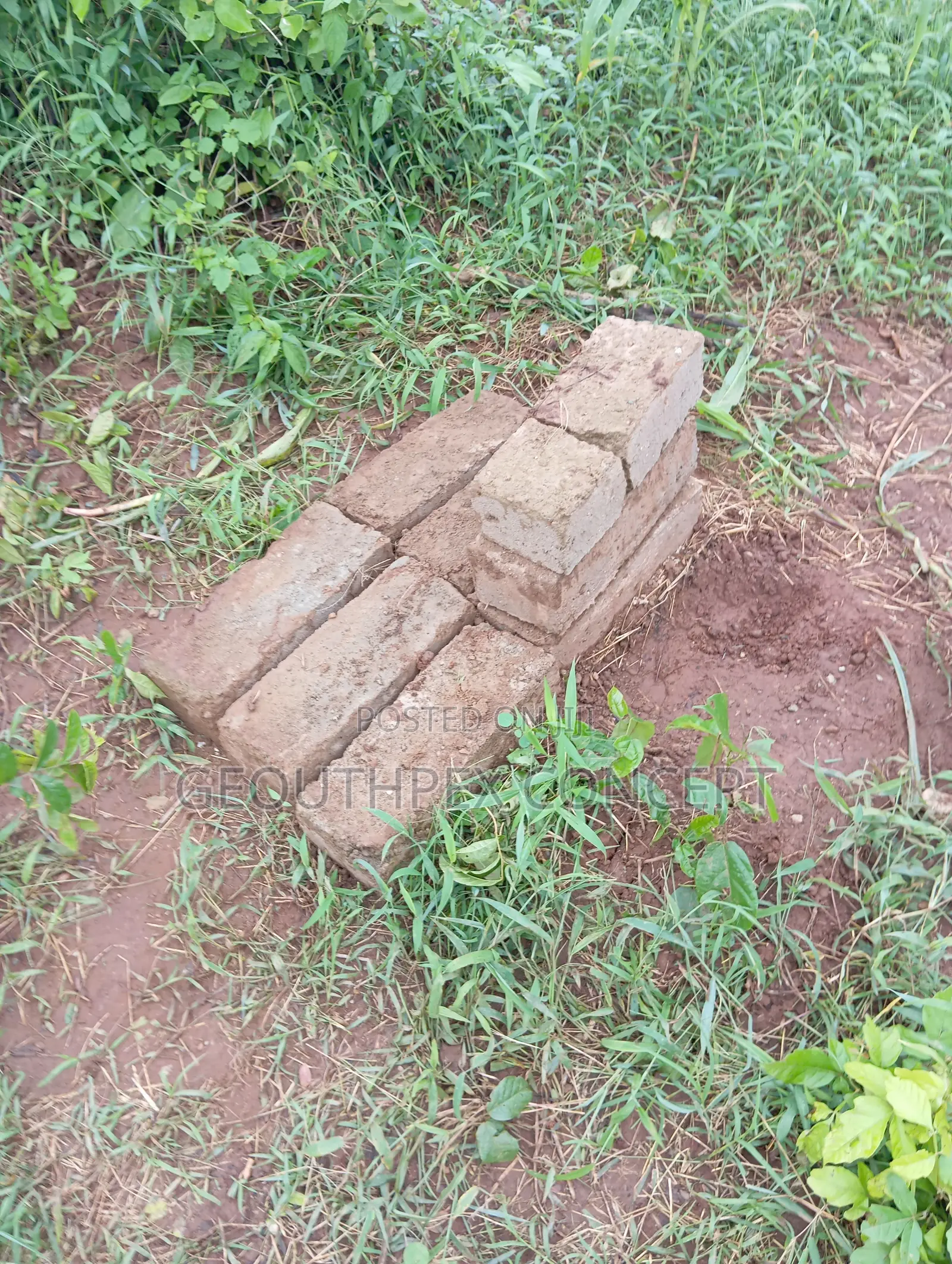 Boundary Survey and Beacon Re-Establishment Services