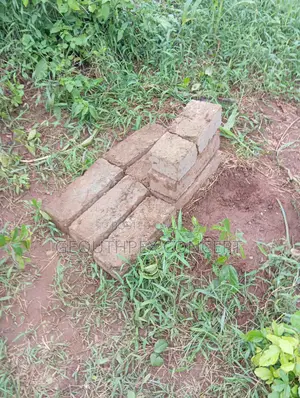 Boundary Survey and Beacon Re-Establishment Services