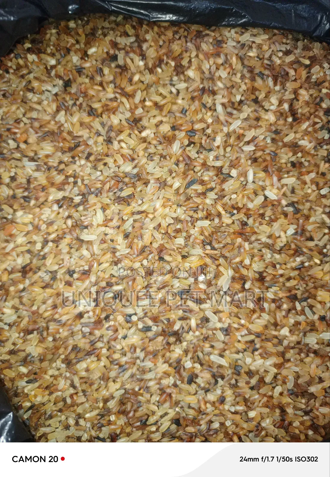 Dog Rice Dog Food