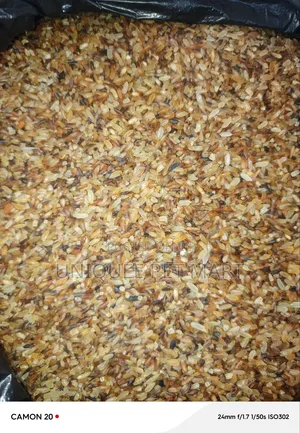 Dog Rice Dog Food