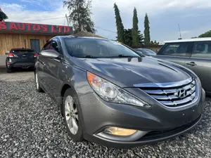 Hyundai Sonata 2012 Gray