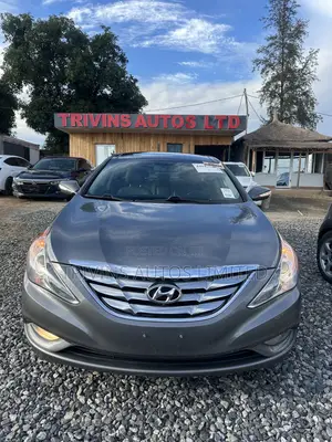 Hyundai Sonata 2012 Gray