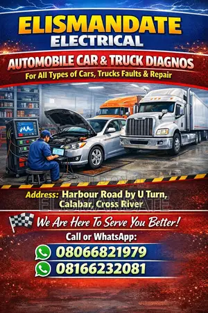 Automobile Electrical Engineer Service