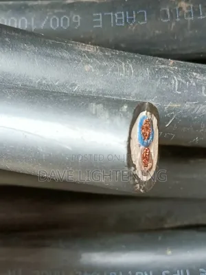 10mm 2core Flexible High Quality Heat Resistant Cable