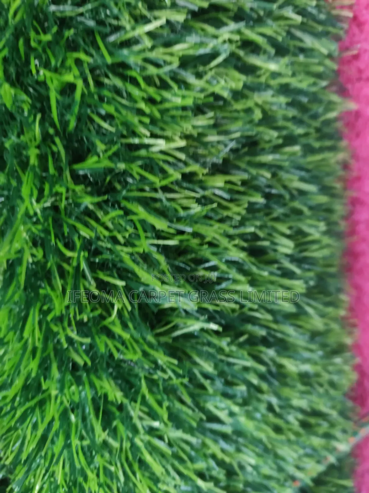 Artificial Grass 25mm.