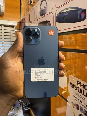 Apple iPhone 12 Pro Max 256 GB Blue