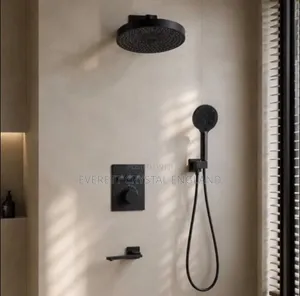 Executive Conceal Shower With Down Turning Tap