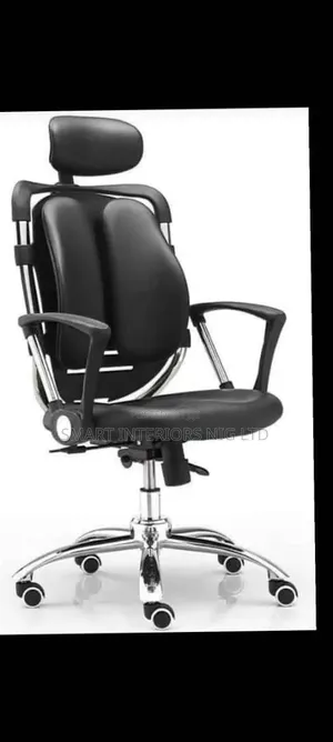 Ergonomic (Kidney) Office Chair