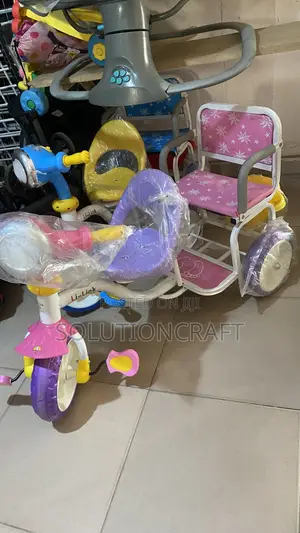 2-in-1 Tricycle