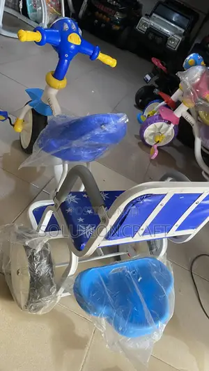 2-in-1 Tricycle