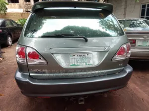 Lexus RX 2003 Gray