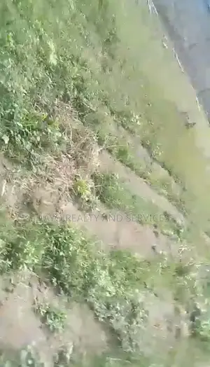 A Plot of Land