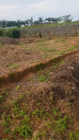 Distress Sale: 50 by 100 for Sale at Obagie Nevosa Off Sapele Road