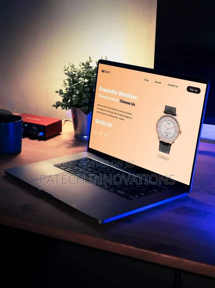 Professional Web Design and Development