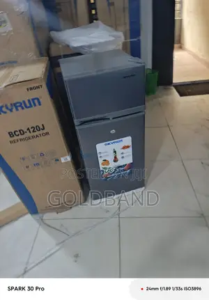 Skyrun BCD-120 120L Home Refrigerator