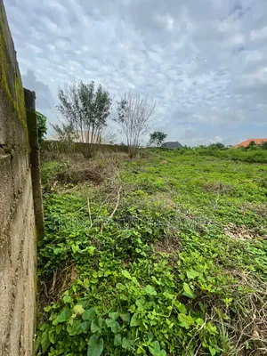 2Plots of Land Available at Asunle Estate Ibadan