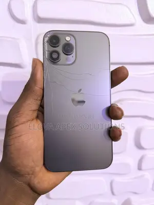 Apple iPhone 12 Pro Max 256 GB Gray