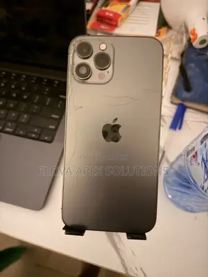 Apple iPhone 12 Pro Max 256 GB Gray