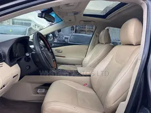 Lexus RX 350 2010 Brown