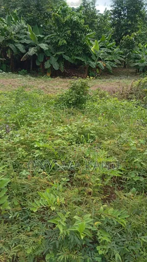 4 Plots Facing Aba-Portharcourt Highway